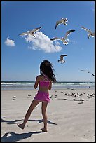 Girl playing with seabirds, Jetty Park beach. Cape Canaveral, Florida, USA (color)