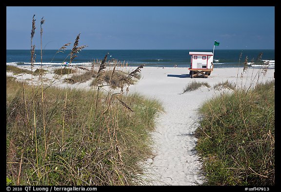 Path, dune grass, and lifeguard platform, Jetty Park. Cape Canaveral, Florida, USA