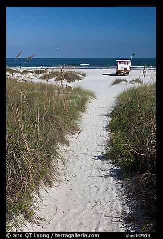 Sandy path leading to beach, Jetty Park. Cape Canaveral, Florida, USA