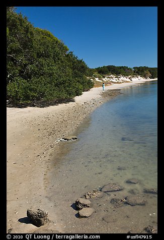 Beach on the Matanzas River, Fort Matanzas National Monument. St Augustine, Florida, USA