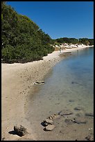 Beach on the Matanzas River, Fort Matanzas National Monument. St Augustine, Florida, USA (color)