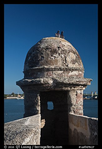 Fortified Turret, pigeons, and Matanzas Bay, Castillo de San Marcos National Monument. St Augustine, Florida, USA (color)