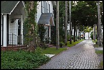 Cobblestone alley. St Augustine, Florida, USA (color)