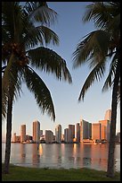 Palm trees and Miami skyline at sunrise. Florida, USA