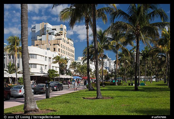 Palm trees and Art Deco hotels, South Beach, Miami Beach. Florida, USA (color)