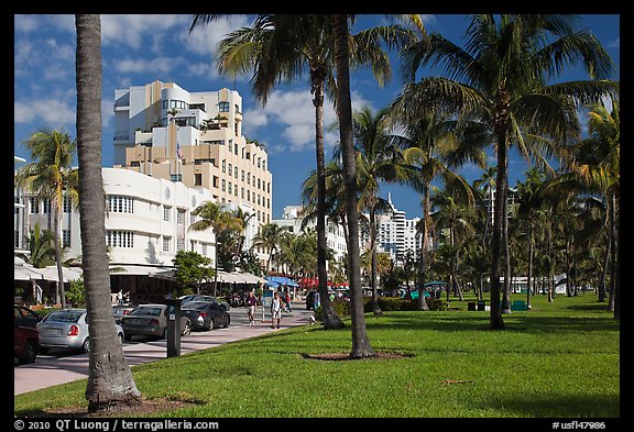 Palm trees and Art Deco hotels, South Beach, Miami Beach. Florida, USA