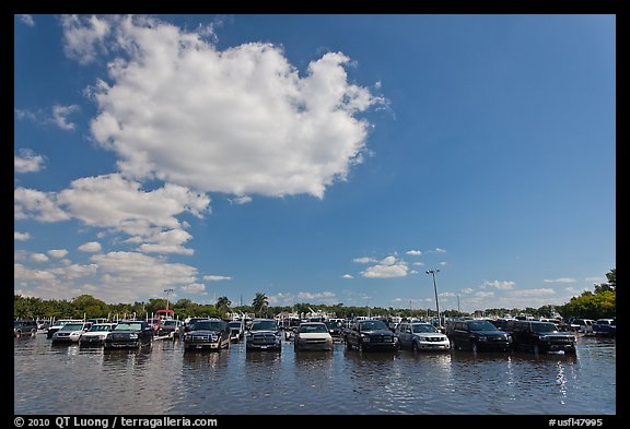 Flooded parking lot, Matheson Hammock Park, Coral Gables. Florida, USA