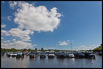 Flooded parking lot, Matheson Hammock Park. Coral Gables, Florida, USA