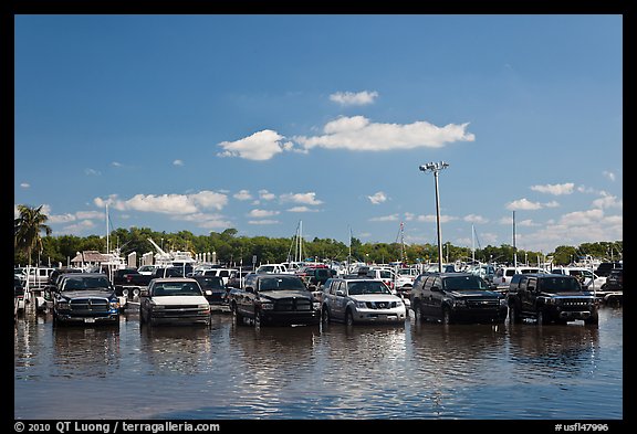 Cars in flooded lot, Matheson Hammock Park. Coral Gables, Florida, USA (color)