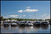 Cars in flooded lot, Matheson Hammock Park. Coral Gables, Florida, USA