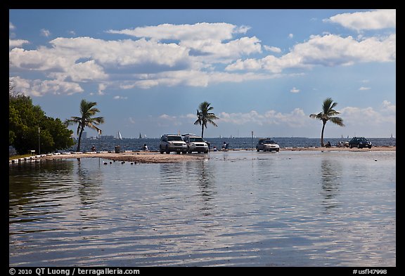 Flooded lot and Biscayne Bay, Matheson Hammock Park. Coral Gables, Florida, USA