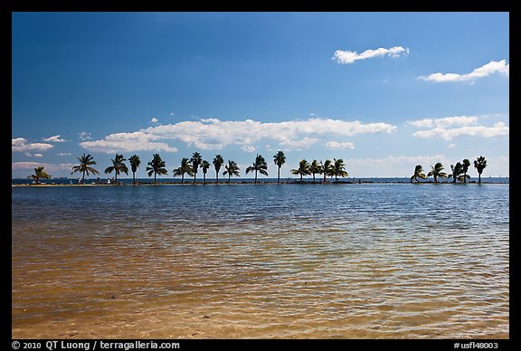 Pond and palm trees at edge of Biscayne Bay, Coral Gables. Florida, USA (color)