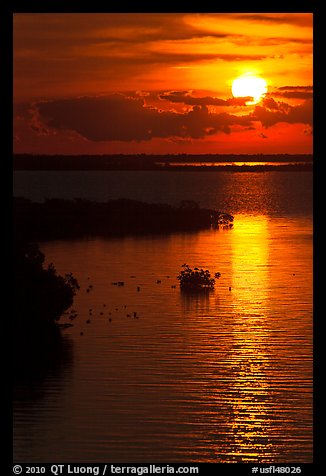 Sunrise over Atlantic shore, Sugarloaf Key. The Keys, Florida, USA (color)