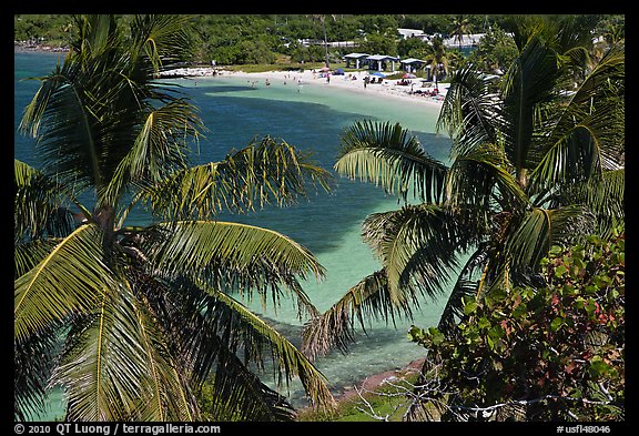 Beach seen from above through palm trees, Bahia Honda Key. The Keys, Florida, USA (color)