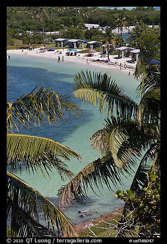 Beach and palm trees from above, Bahia Honda State Park. The Keys, Florida, USA (color)