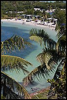 Beach and palm trees from above, Bahia Honda State Park. The Keys, Florida, USA ( color)