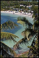 Beach and palm trees from above, Bahia Honda State Park. The Keys, Florida, USA (color)