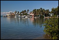 Conch cottages lining edge of Florida Bay, Conch Key. The Keys, Florida, USA