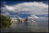 Colorful conch cottages, Conch Key. The Keys, Florida, USA (color)