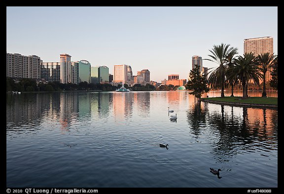 City skyline with row of palm trees at sunrise, Sumerlin Park. Orlando, Florida, USA (color)