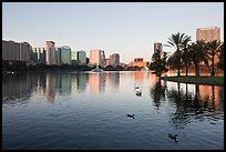City skyline with row of palm trees at sunrise, Sumerlin Park. Orlando, Florida, USA