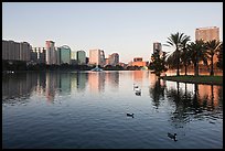 City skyline with row of palm trees at sunrise, Sumerlin Park. Orlando, Florida, USA (color)