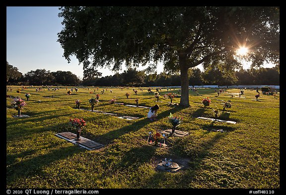 Sun shining trough tree, Cemetery. Orlando, Florida, USA (color)