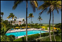 Beachside resort seen through screen, Sanibel Island. Florida, USA (color)