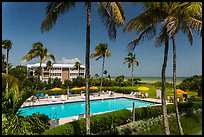 Beachside resort seen through screen, Sanibel Island. Florida, USA (color)