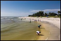 Turner Bearch, Captiva Island. Florida, USA (color)