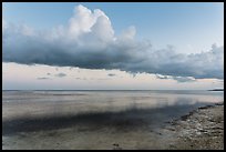 Thunderstorm clouds at sunset, Little Duck Key. The Keys, Florida, USA ( color)