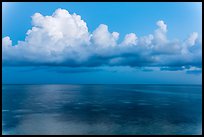 Thunderstorm clouds at dusk, Little Duck Key. The Keys, Florida, USA (color)