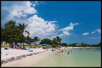 Sombrero Beach in summer, Marathon Key. The Keys, Florida, USA (color)