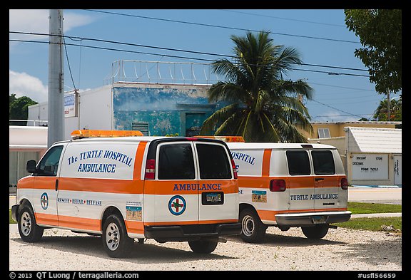 Turtle Hospital ambulances, Marathon Key. The Keys, Florida, USA (color)