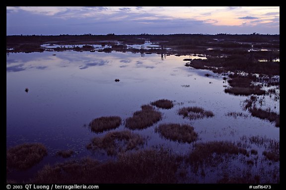 Okefenokee Swamp at sunset. Georgia, USA (color)