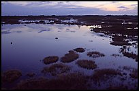 Okefenokee Swamp at sunset. Georgia, USA ( color)