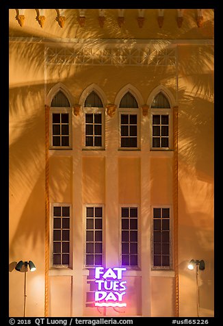 Detail of Art Deco facade with shadow of palm tree at night, Miami Beach. Florida, USA (color)