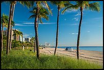 Ocean beach, North Beach, Miami Beach. Florida, USA ( color)
