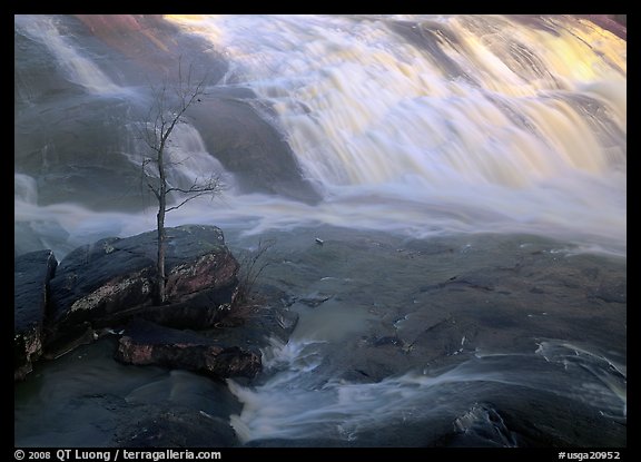 Tree and waterfall at sunrise in High Falls State Park. Georgia, USA (color)