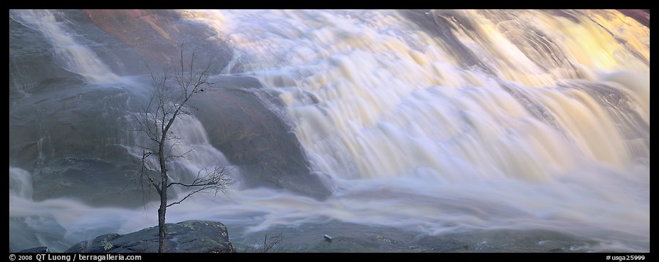 Bare tree on edge of wide waterfall. Georgia, USA (color)