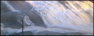 Bare tree on edge of wide waterfall. Georgia, USA (Panoramic color)