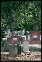 Colonial park cemetery. Savannah, Georgia, USA (color)