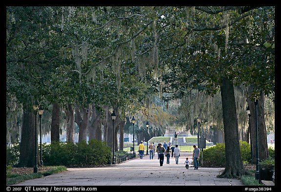 Alley in Forsyth Park. Savannah, Georgia, USA