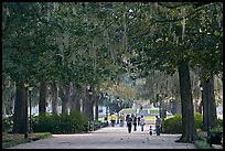 Alley in Forsyth Park. Savannah, Georgia, USA