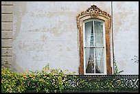 Window and wall, historical district. Savannah, Georgia, USA ( color)
