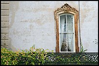 Window and wall, historical district. Savannah, Georgia, USA