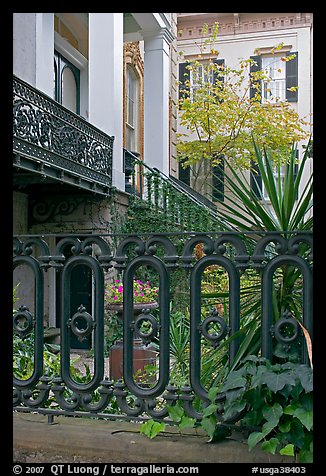 Fence and yard in front of historic house. Savannah, Georgia, USA