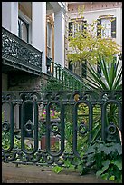 Fence and yard in front of historic house. Savannah, Georgia, USA (color)