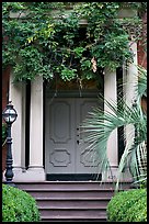 Doorway with luxuriant vegetation. Savannah, Georgia, USA (color)