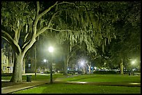 Square by night with Spanish Moss hanging from oak trees. Savannah, Georgia, USA